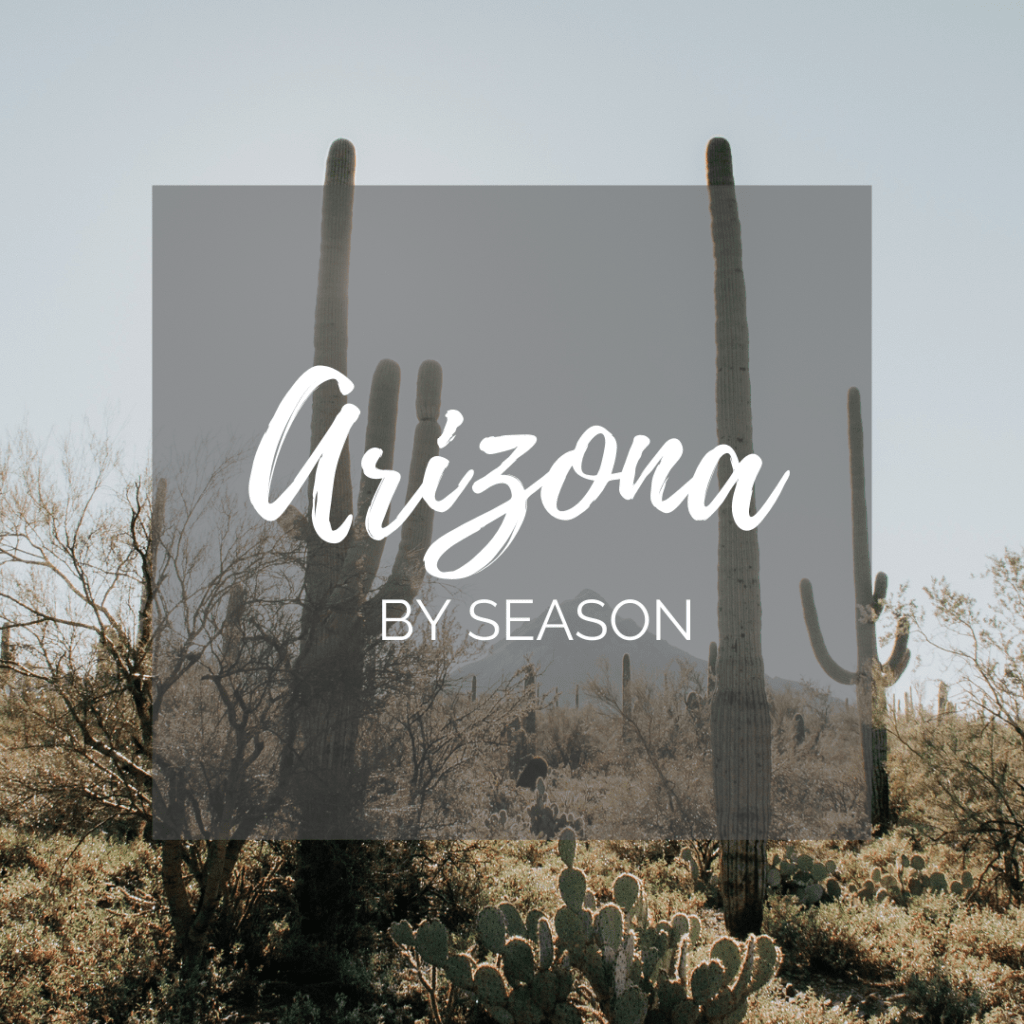 Arizona by Season